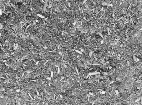 Premium Organic Blend (Loose Tip)