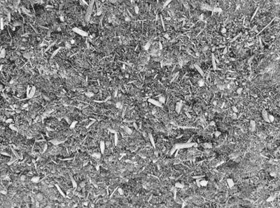 Premium Organic Blend (Loose Tip)