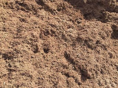 Tea Tree Mulch (Loose Tip)