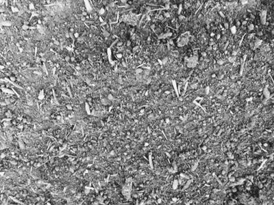 Organic Mix (Loose Tip)