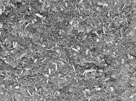 Premium Organic Blend (Bulka Bag)