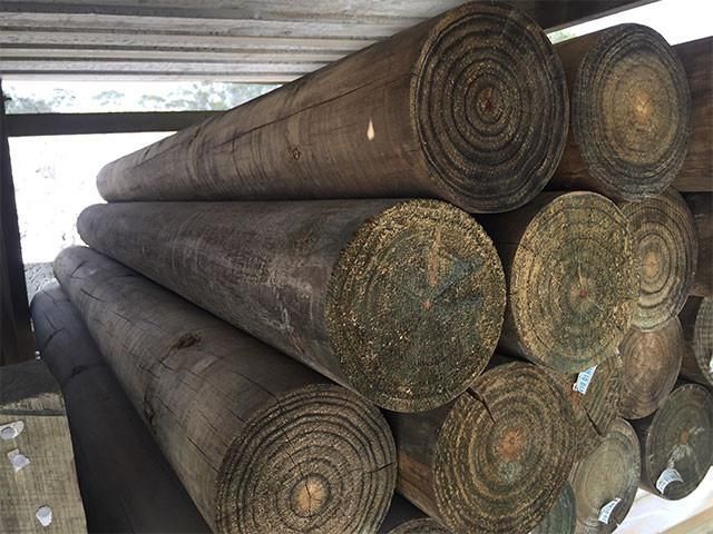 Treated Pine Logs (150mm)