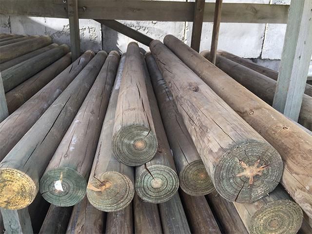 Treated Pine Logs (125mm)