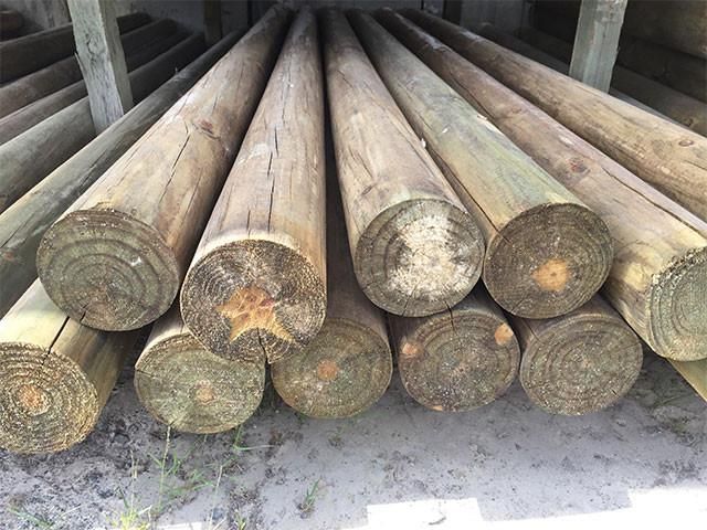 Treated Pine Logs