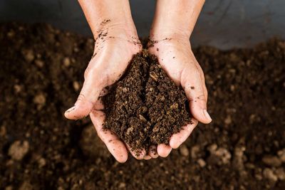 Garden Mixes and Soils