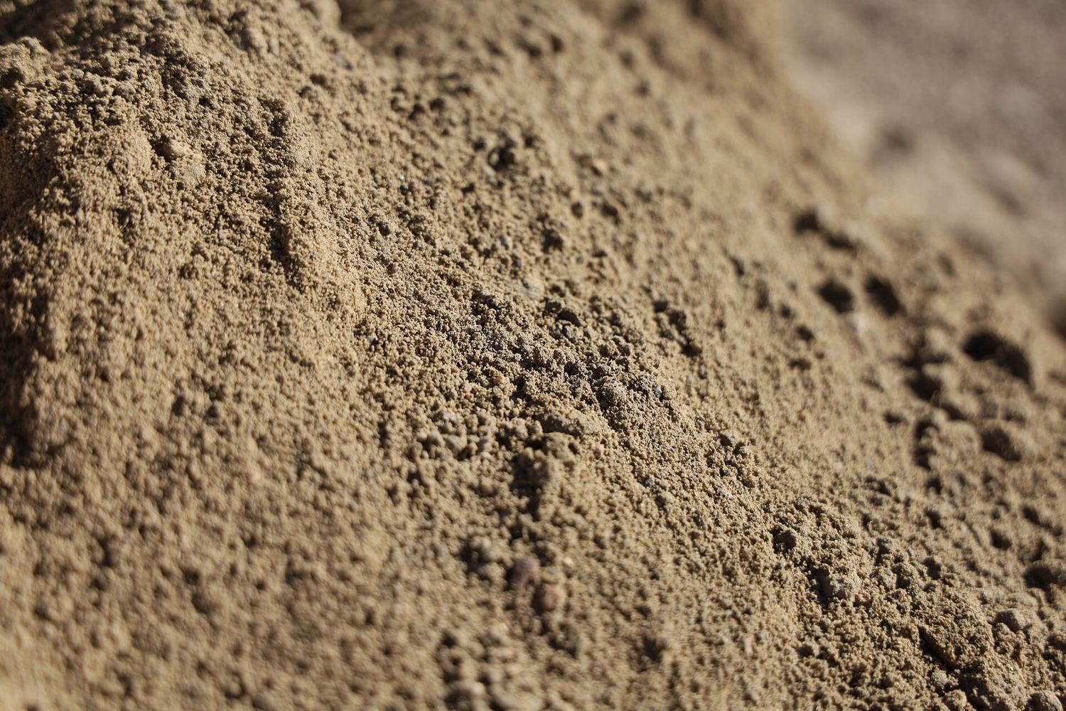 Sandy Loam (Loose Tip)