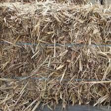 Sugar Cane Bales