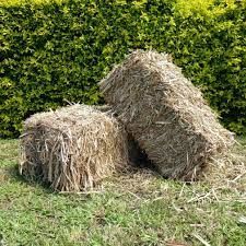Sugar Cane Bales (Loose Tip)