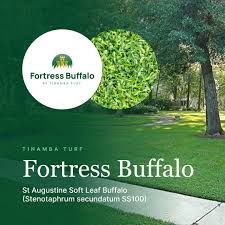 Fortress Buffalo