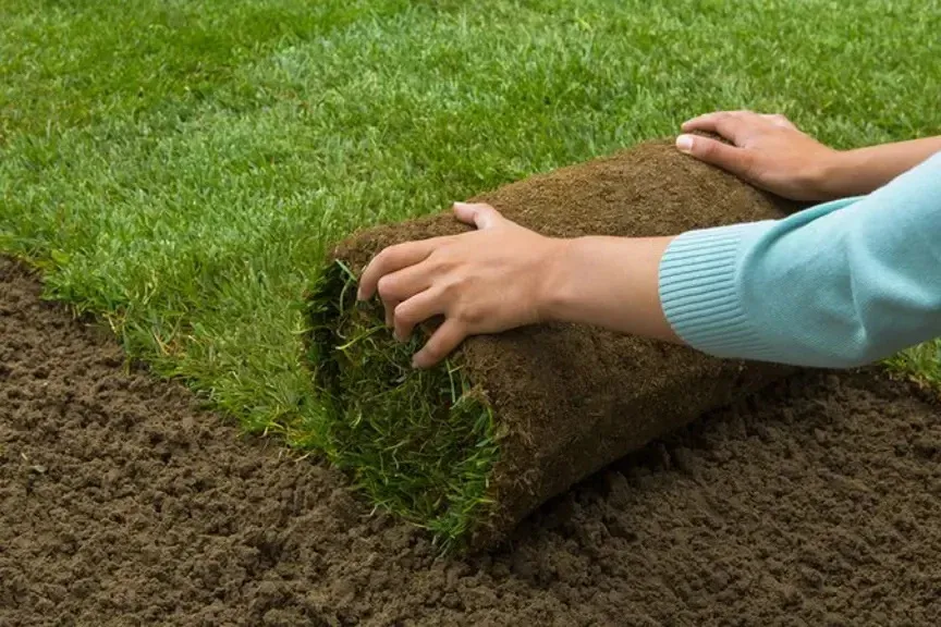 Premium Under turf Mix (Loose Tip)