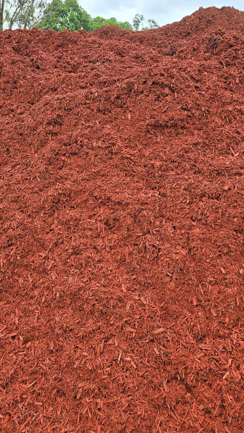 Uluru Red Cypress (Loose Tip) Uluru Red Cypress (Loose Tip)