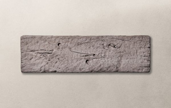 EdenStone Masonry Timberstone Paver