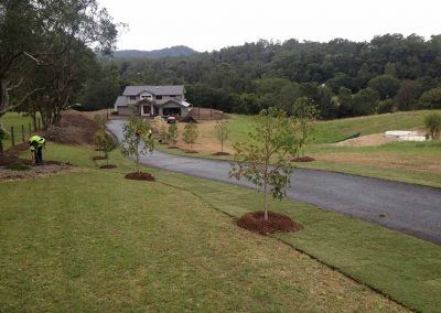 WinterGreen Turf