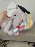Graduation Elephant, Colour: Grey