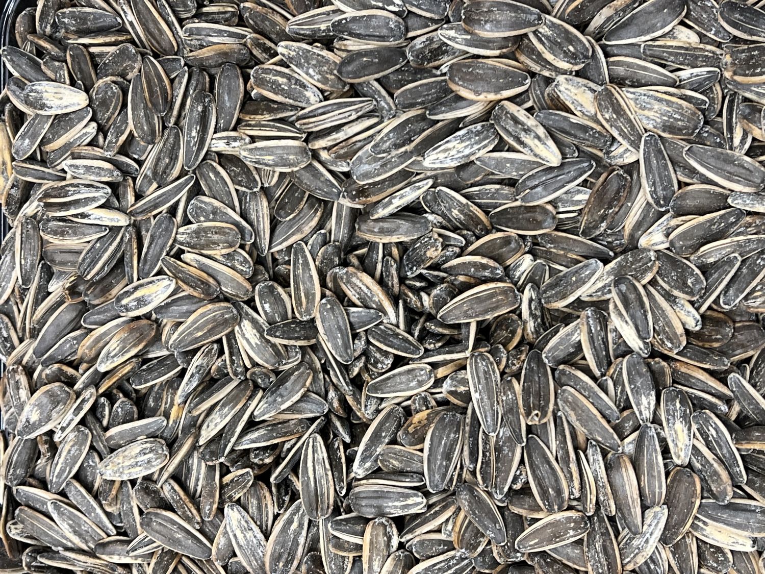 Sunflower Seeds