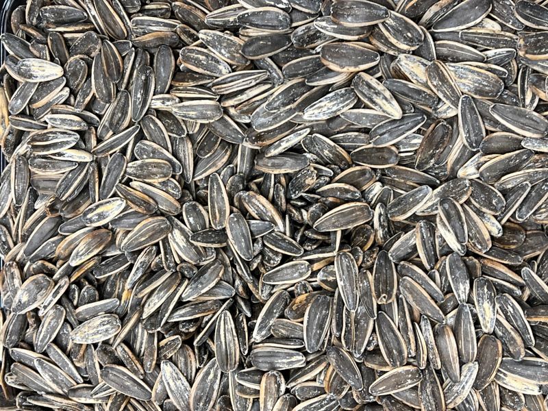 Bulk Nuts &amp; Seeds