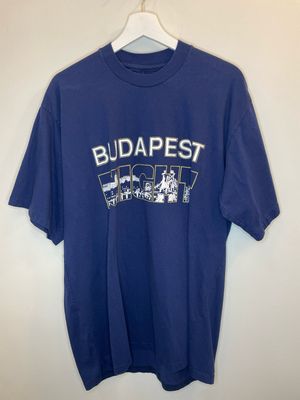 Budapest Night