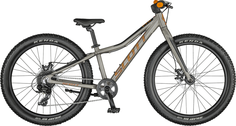 Roxter 24 silver