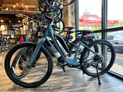 Rental E Bike 2 Days