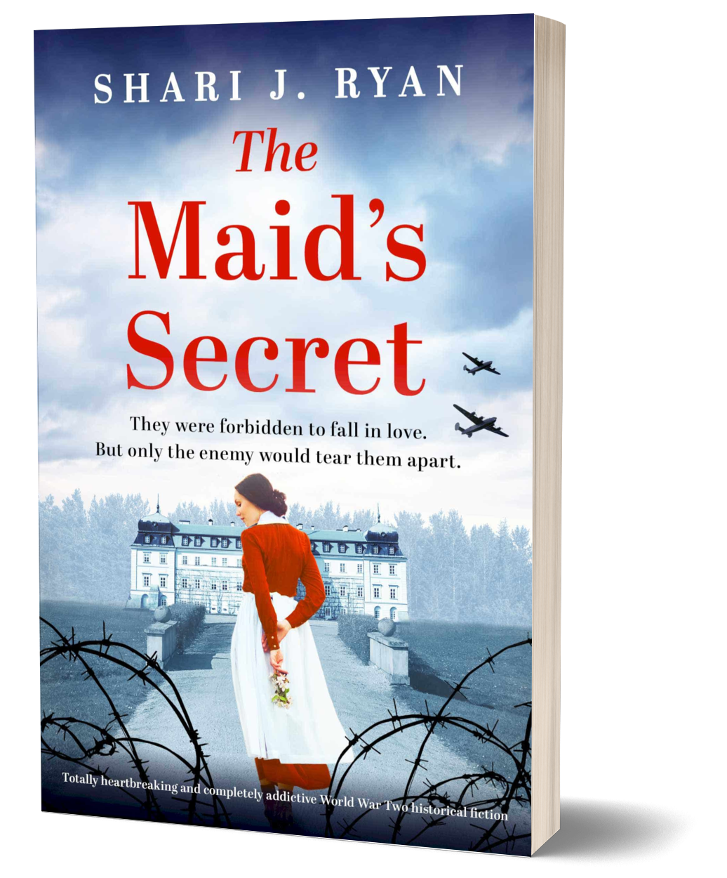 The Maid's Secret