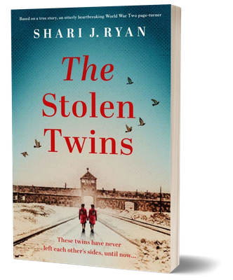 The Stolen Twins The Stolen Twins