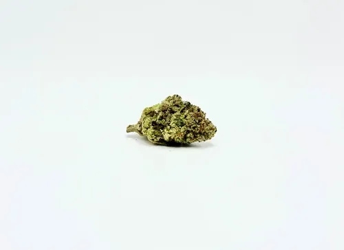 THCA - Mid Shelf Flower - Lobster Butter