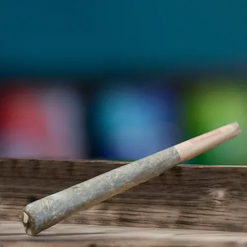 THCA - Pre Rolls - Mango Mentality .5g