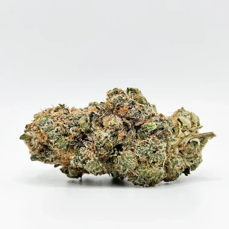 THCA - Exotic Flower - Astronaut Status