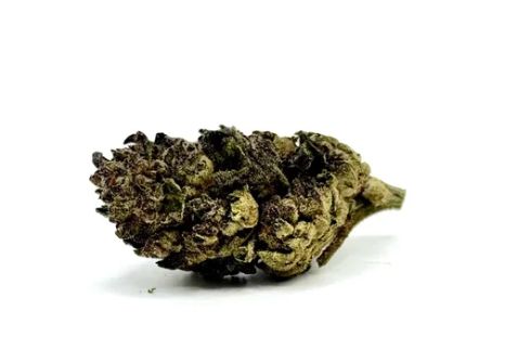 THCA - Mid Flower - Birthday Cake
