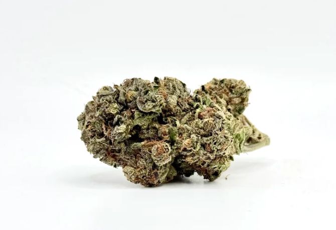 THCA - Exotic Flower - Italian Ice