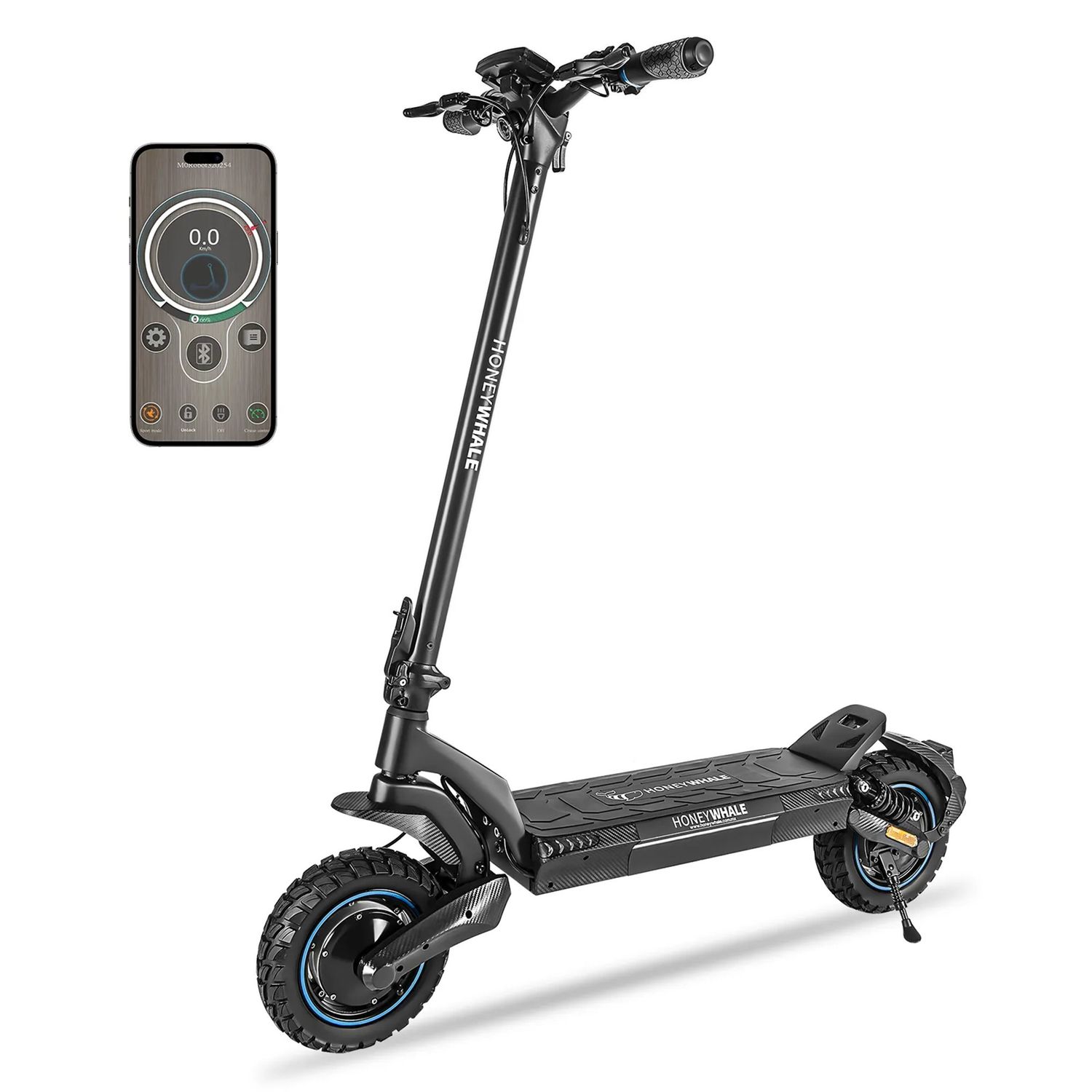 T5