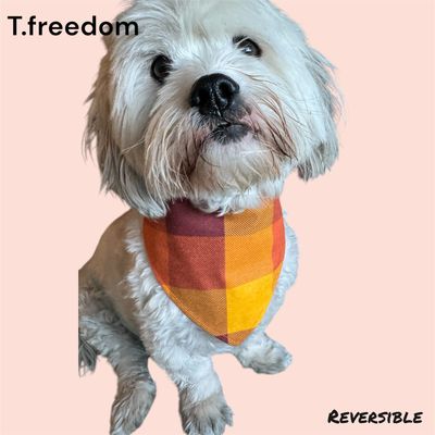 Gobble -n- Plaid Dog Bandana