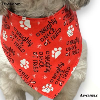 Santa Paws Checklist Dog Bandana