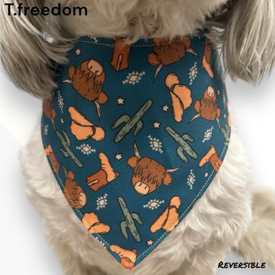 Desert Trail Adventure Dog Bandana
