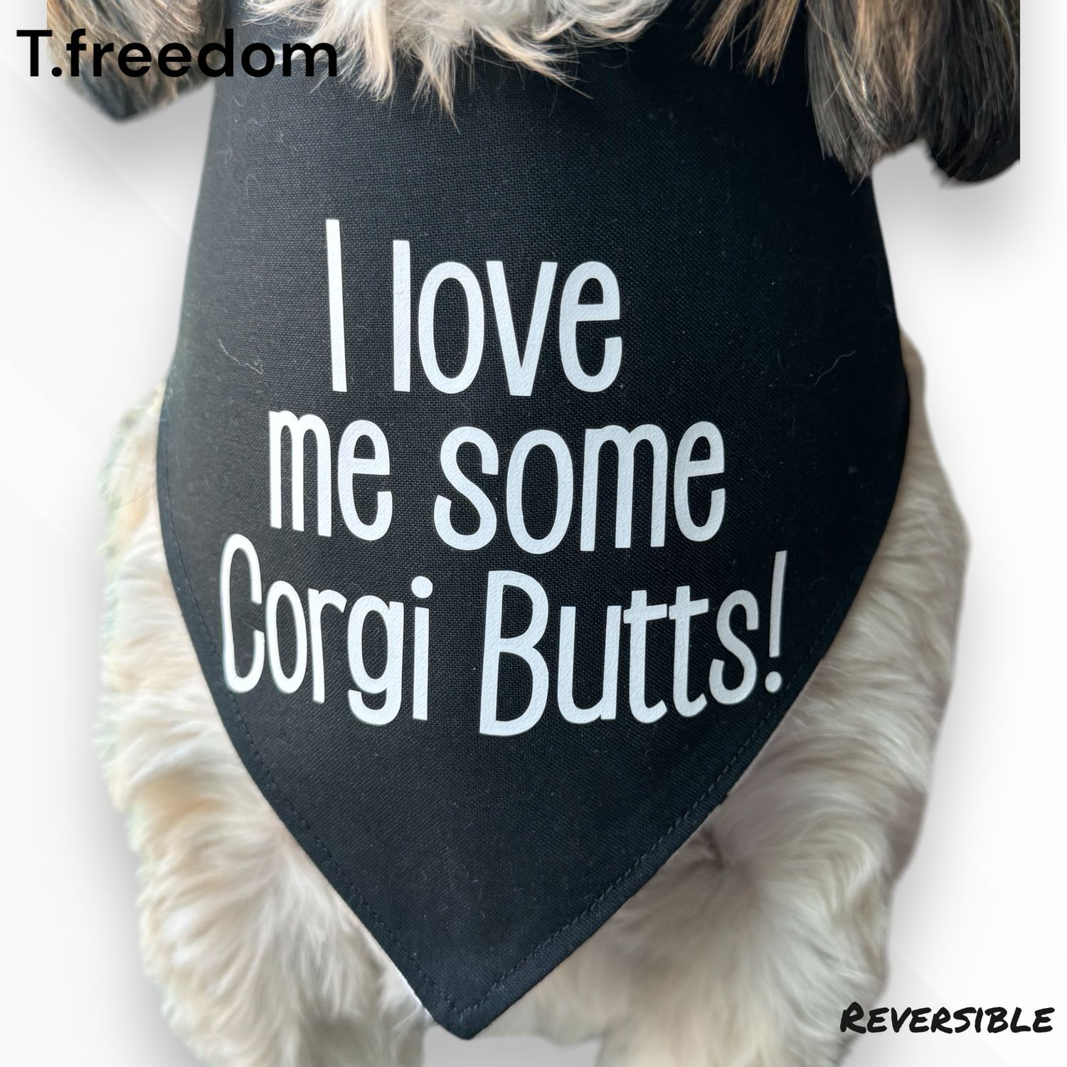 Bootylicious Corgi Dog Bandana