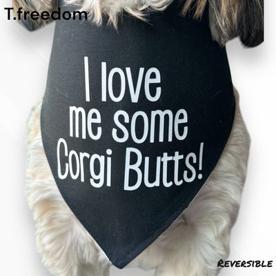Bootylicious Corgi Dog Bandana