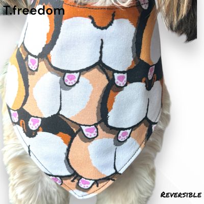Bootylicious Corgi Dog Bandana