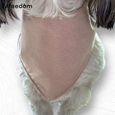 Hiking Buddy Adventure Dog Bandana