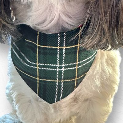 Santa Skulls Dog Bandana