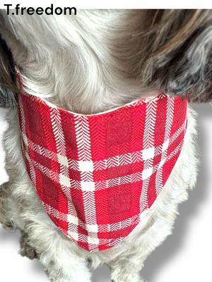 Smooches &amp; Snuggles Dog Bandana
