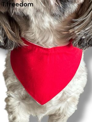 Kiss Me Quick Dog Bandana