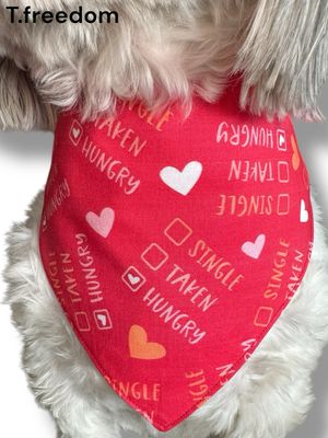 Single, Taken, Hungry Dog Bandana