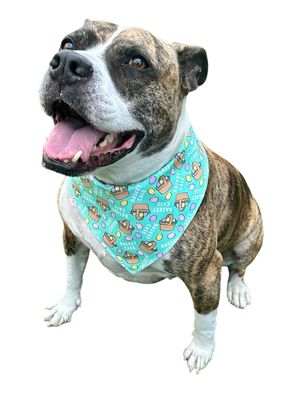 Basket Case Reversible Dog Bandana