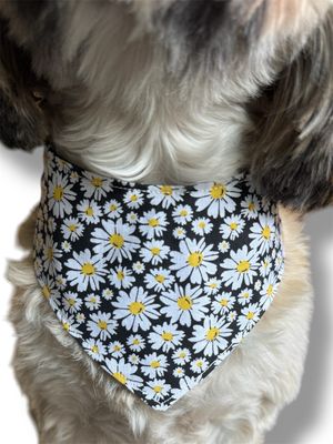 Daisy Dream Reversible Dog Bandana