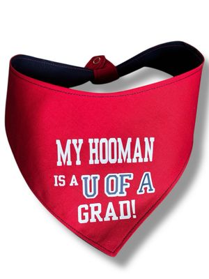 UofA Celebrations Reversible Dog Bandana