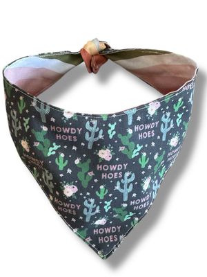 Howdy Hoes  Reversible Dog Bandana