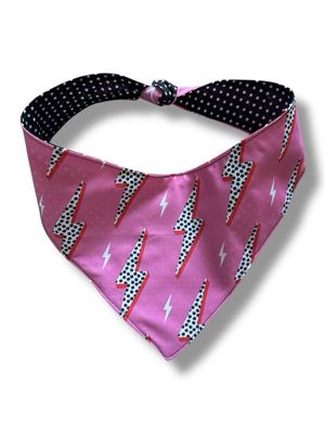 The Ziggy Pupdust Reversible Dog Bandana