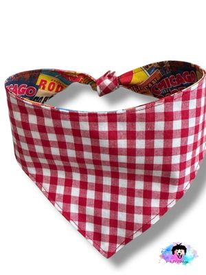Rodeo Ready Reversible Dog Bandana