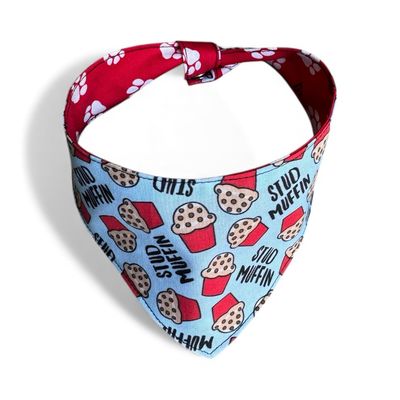 Stud Muffin Reversible Dog Bandana