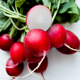 radishes - red, by the bunch